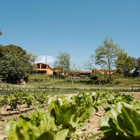 En El Campo Dalias * تورديرا